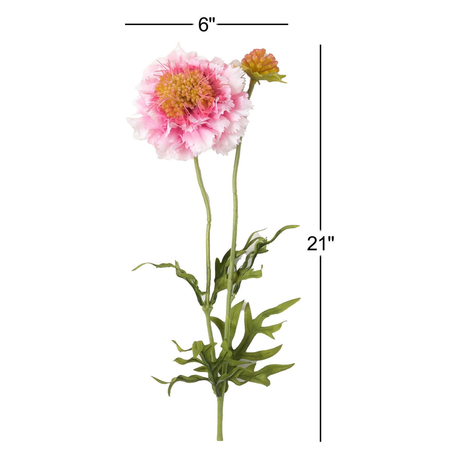 Vibrant Bloom Scabiosa Sprays, Pink
