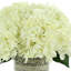 Spring Additions Hydrangea French Label Bouquet