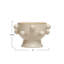 Jalonte Ceramic Pot Planter