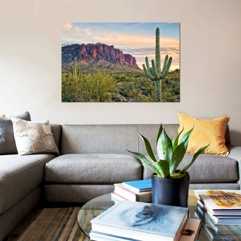 «Cacti View II», reproduction de photo sur toile, H 8 po x l 12 po x P 0,75 po, Toile tendue, Pas de tapis