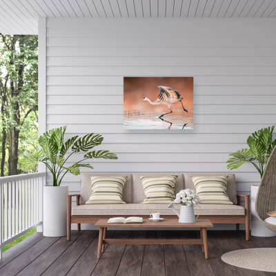 James Lu  Running In The Morning Mist Outdoor  Canvas
