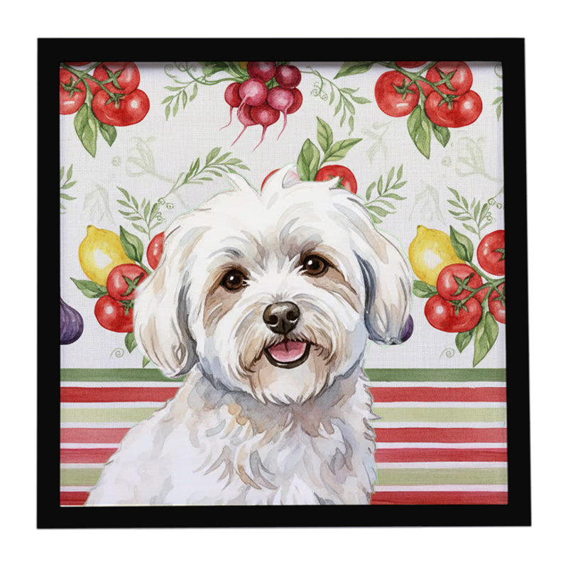 Coton de Tulear Vegetables Framed Metal Print