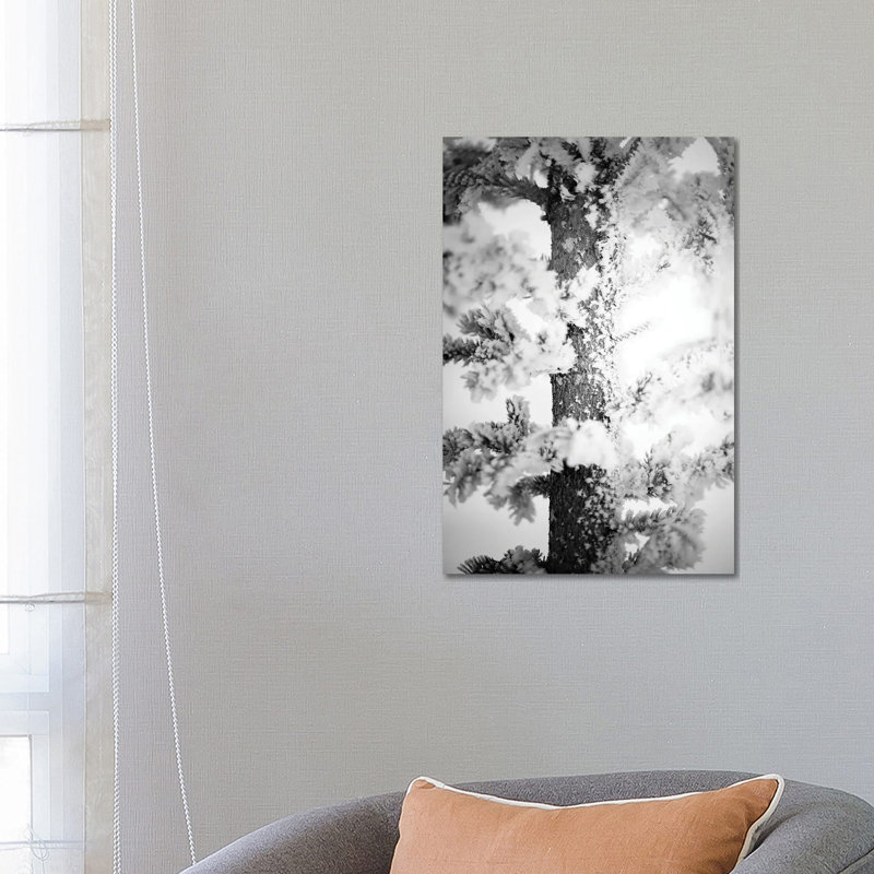 Hoarfrost Pine Up Close 1 Piece Wrapped Canvas Wall Art, 66.04 cm H x 45.72 cm W