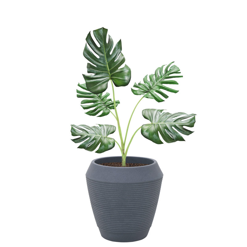 Pot Planter, Graphite