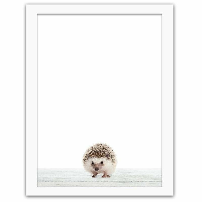 Gerahmtes Poster Hedgehog