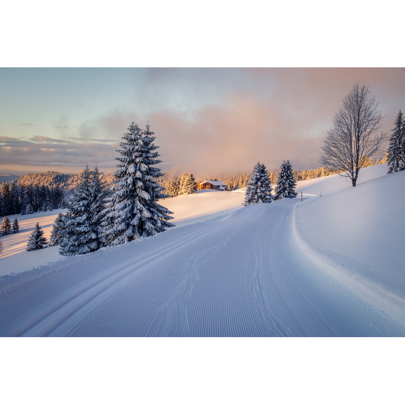 Klas Snow Covered Black Forest - Wrapped Canvas Print, 30cm H x 46cm W x 3.8cm D