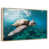 Floating Frame Natural Wood selected