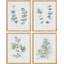 «Sage Green Wildflower Forest Plant», reproduction encadrée de 4 pièces-90691867-90691868