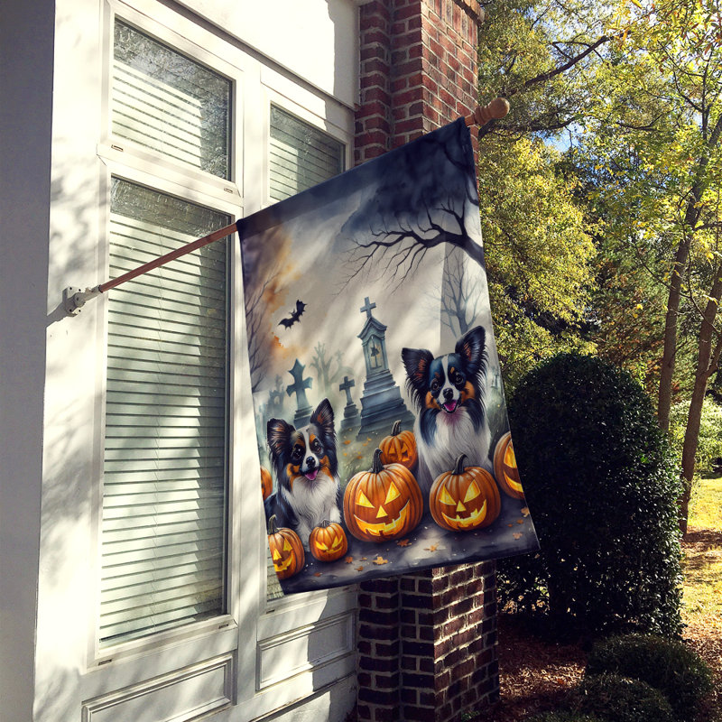 Drapeau de maison d'Halloween en polyester à double face H 40 po x l 28 po