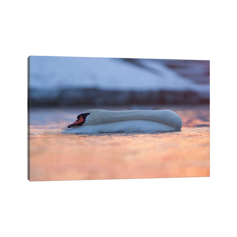 Swan by Mateusz Piesiak - Wrapped Canvas Gallery-Wrapped Canvas Giclée, 66.04 cm H x 45.72 cm W x 1.91 cm D
