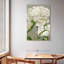 Pivoines blanches Harnek II-108547985