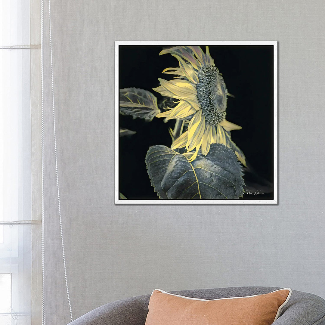 Jaune Et Noir von Maz Ghani - Galerie-verpackte Leinwand Giclée auf Leinwand