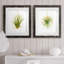 «Hanging Airplant II», ensemble de 2 impressions-1084888020