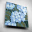 «Blue Hydrangeas I» par Tim O'Toole-1495891031