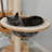 5 Tiers Cat Tree with Condons,Perch,Scratching Posts