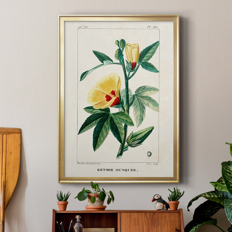 Turpin Tropical Botanicals VI, reproduction d'art encadrée, H 24,5 po x l 18,5 po x P 1 po, Or