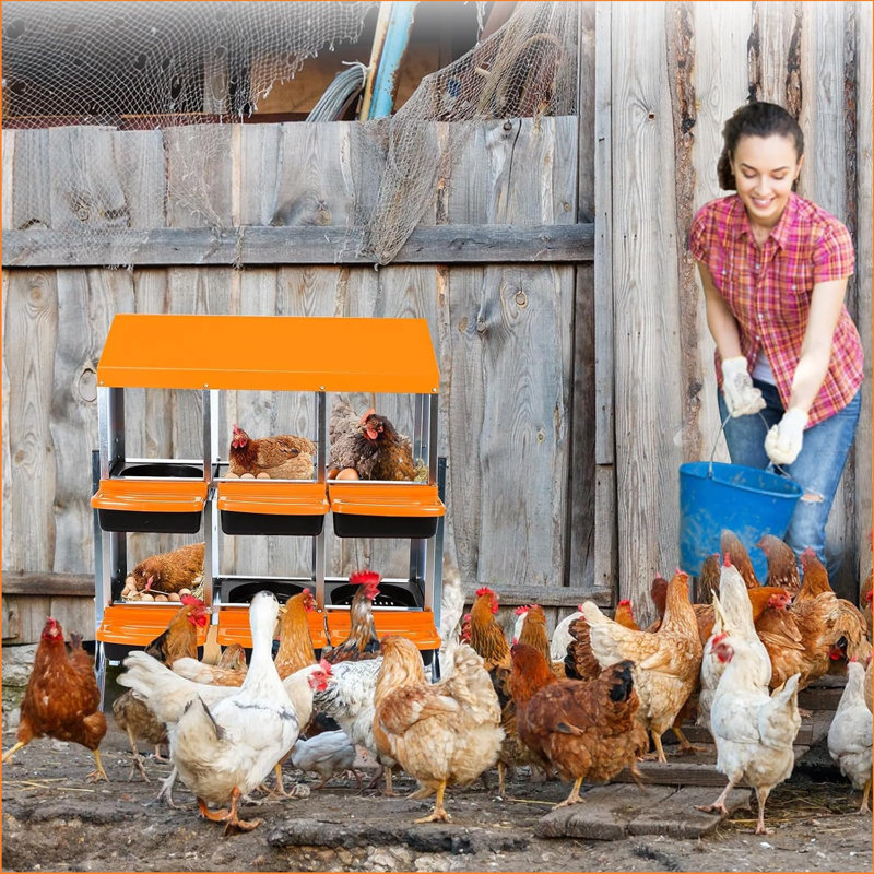 Nesting Boxes