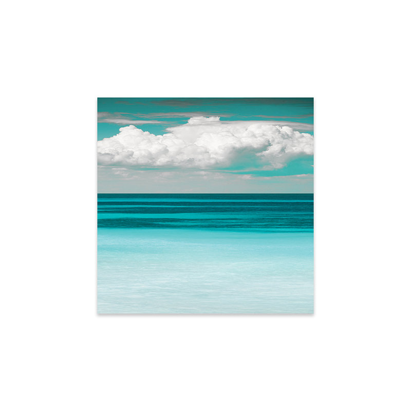 Baie sarcelle par Danita Delimont - photographie sans cadre, H 24 po x l 24 po x P 0,25 po