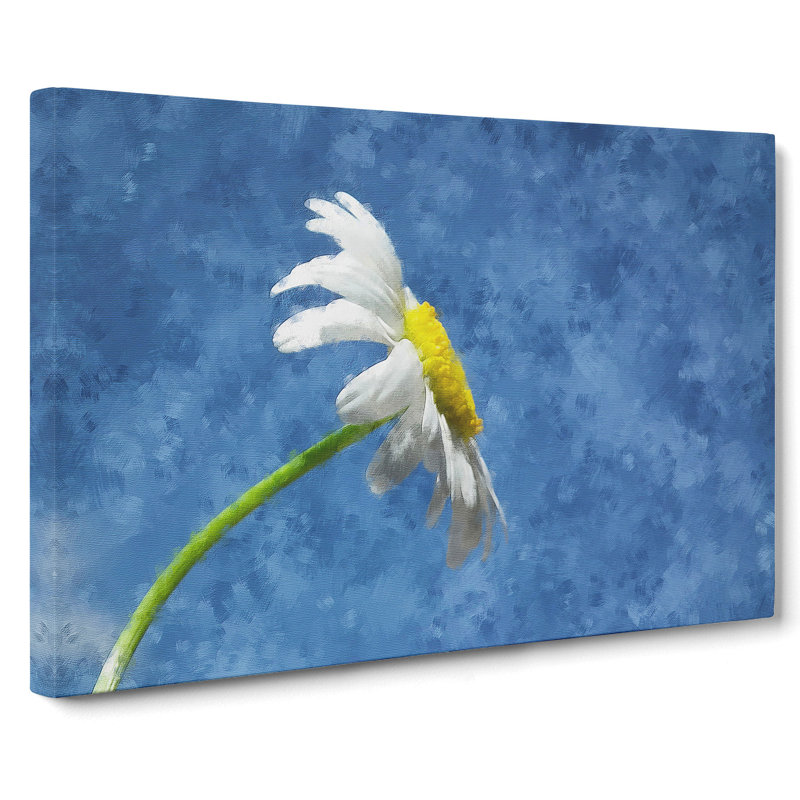 White Daisy Flower - Wrapped Canvas, 40cm H x 60cm W x 3cm D