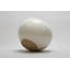 Darril Ceramic / Porcelain Table Vase