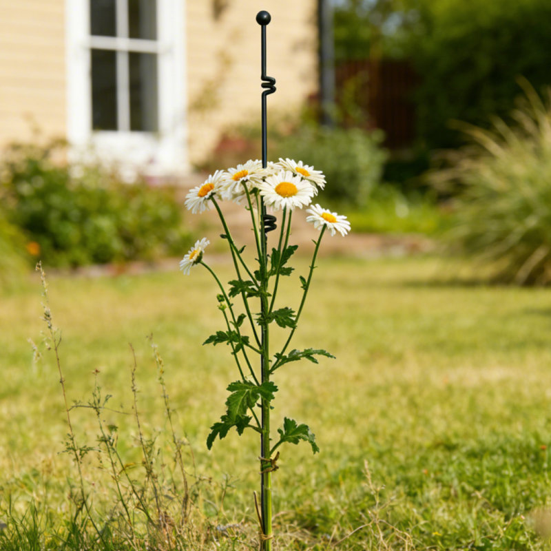 Metal Garden Plant Support Stakes