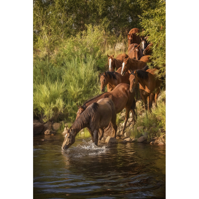 River Horses I by PHBurchett - Wrapped Canvas Print, 46cm H x 30cm W