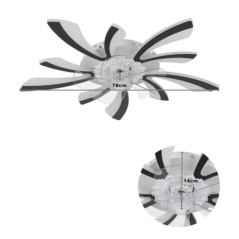 Annuska 78cm Ceiling Fan with LED Lights, Black