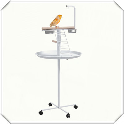 Plateau à oiseaux avec perchoirs à roulettes