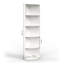 Birender Corner Bookcase