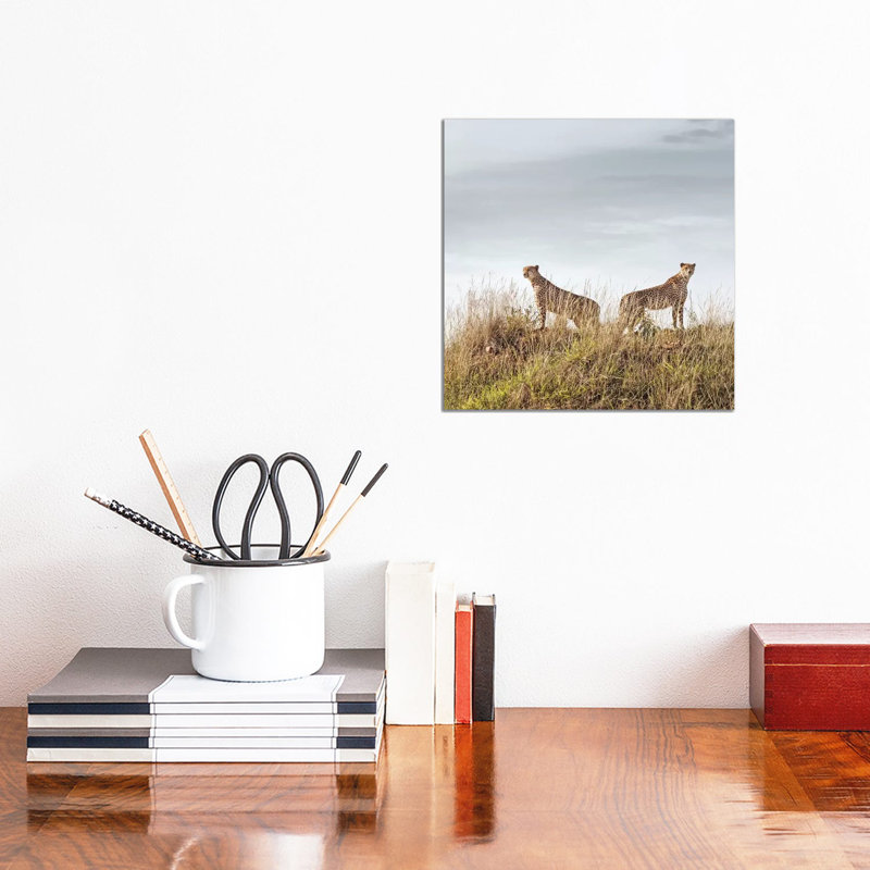 Colour Cheetah Duo by Klaus Tiedge - Wrapped Canvas Print, 30.48 cm H x 30.48 cm W