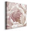 Intime Blush II - reproduction d'art sur toile tendue-719439408