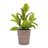 Of 3, Antique Yellow, Glossy Planters, Weather-, Garden, Windowsill Decoration 3 Pieces Yellow Ceramic Modern Flowerpots - Frost-, Ideal For Patio And Indoor Spaces