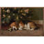 Beagle sous l'arbre de Noël-485768896