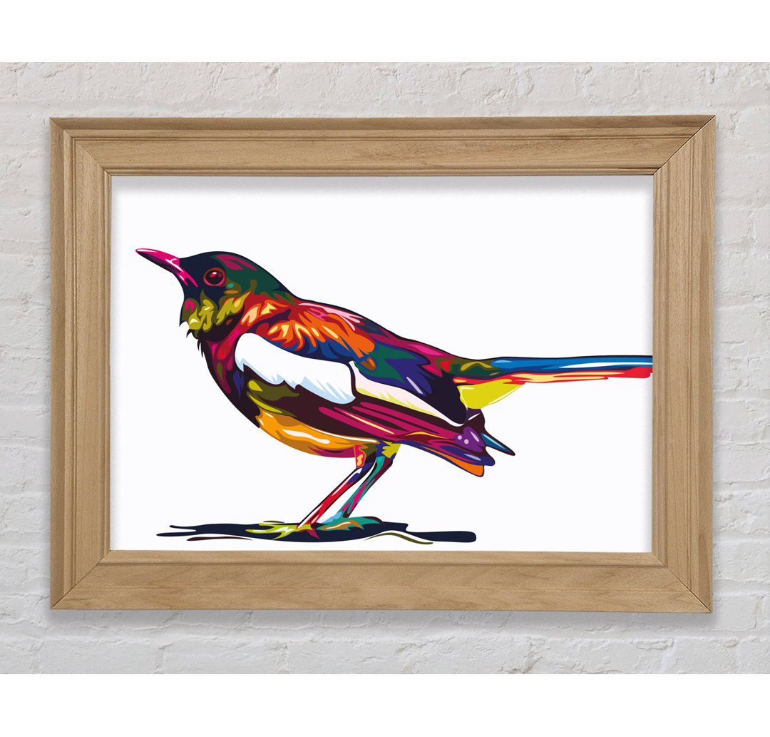 Colour Splash Blackbird Gerahmter Druck