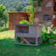 Weather Resistant Rabbit Hutch