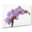 Purple Orchids In Bloom - Wrapped Canvas Painting-55322584
