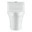 Toilette une pièce à hauteur ajustable 1,6 GPF Fine Fixtures-88369097