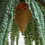 Hanging 50'' Faux Fern Plant in Planter
