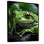 Green Frog Portrait, reproduction d'art sur toile-1411428868-1411428871
