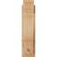 Sapin Douglas Douglas, l 6 po x P 16 po x H 24 po-31641798-114335535