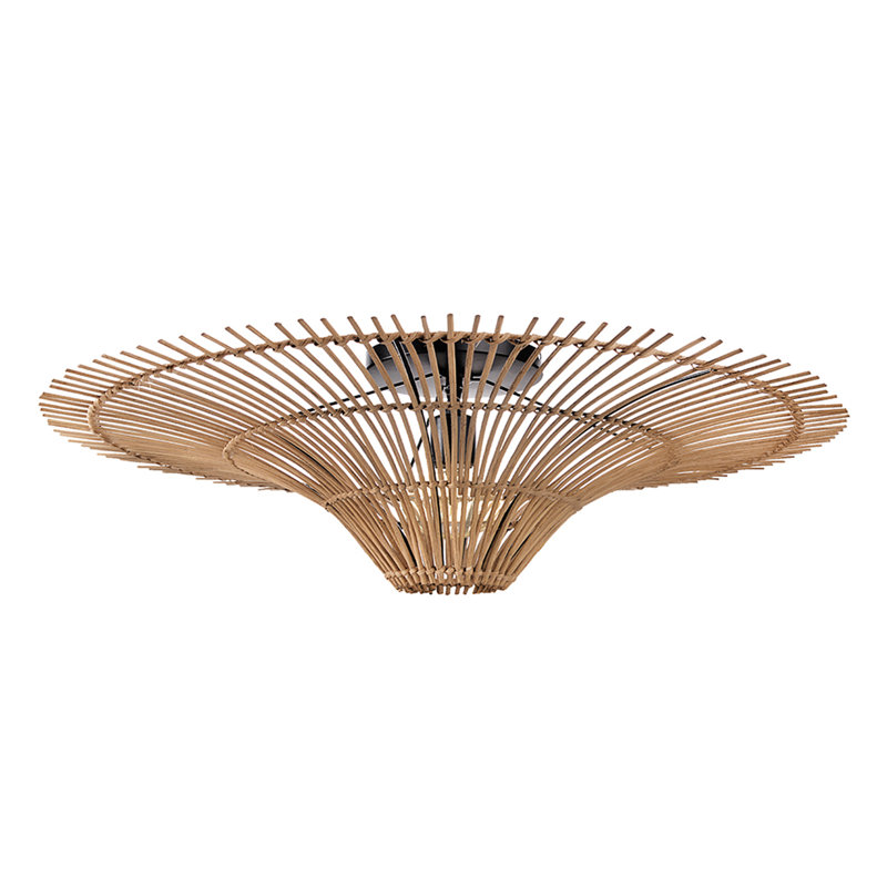 Alayanna Ceiling Light 1-Light, 23.62 cm