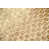 Gold Beige