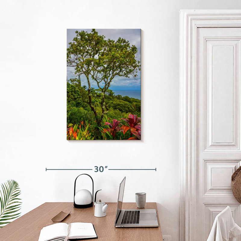 Harnek, Hawaï, arbres tropicaux, H 30 po x l 20 po