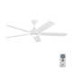 Lise 60'' 5 Blade Ceiling Fan with LED Light Kit