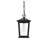 Deidra 7 inch Outdoor Pendant in Black