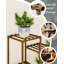 Akosha Wood Plant Stand