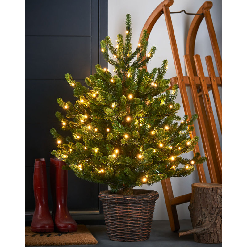 3' H Lighted Artificial Fir Christmas Tree