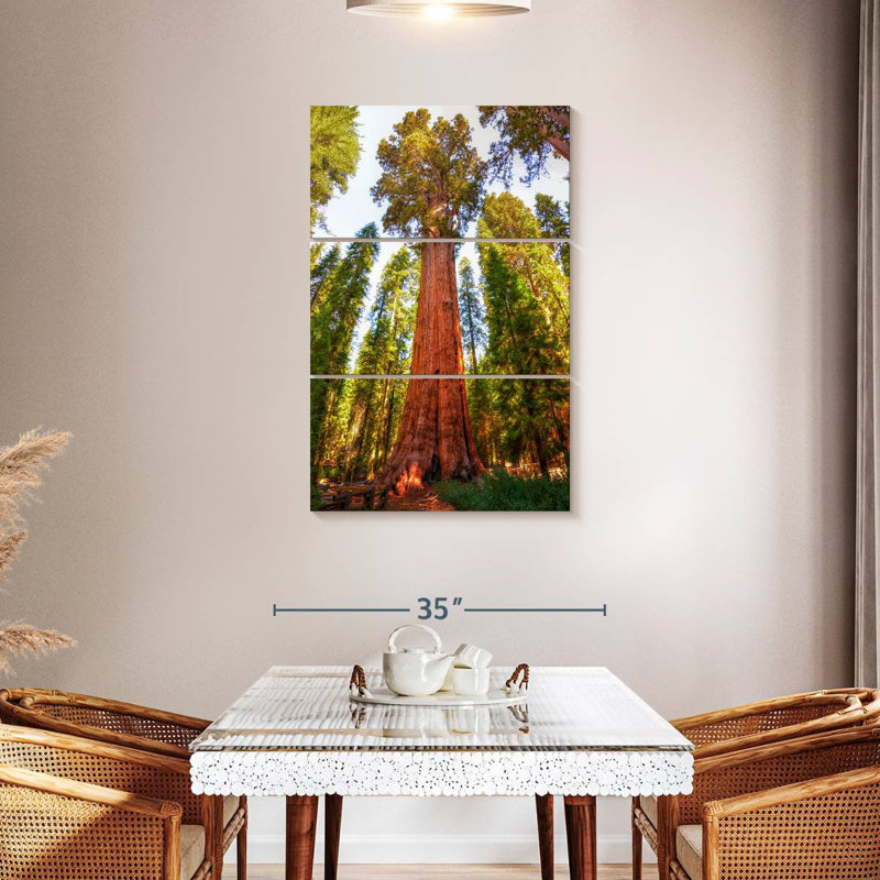 Harnek Redwood Tree Grove, H 45 po x l 28 po