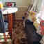 Customer photo 3 of 3