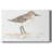 Pretty Piper I-Gallery Wrapped Canvas-3409284